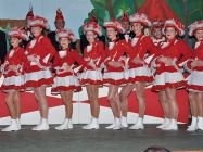2013-karnevalssitzung-0008