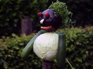 DSC 0026