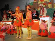 karnevalssitzung-altkalkar-2015-0046